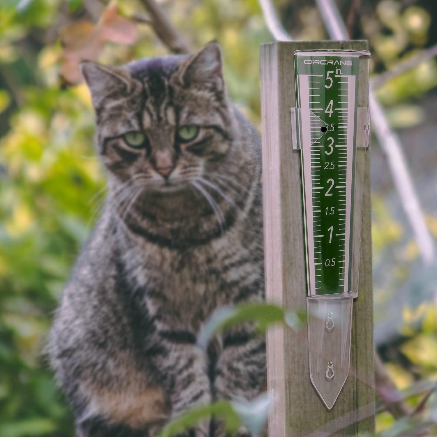 Medidor de Lluvia Circrane 12.7 cm Exterior con Soporte Verde