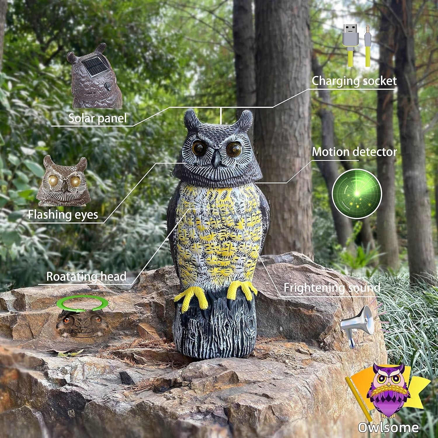 Búho Solar Owlsome con Ojos Brillantes y Sonido - Jardín