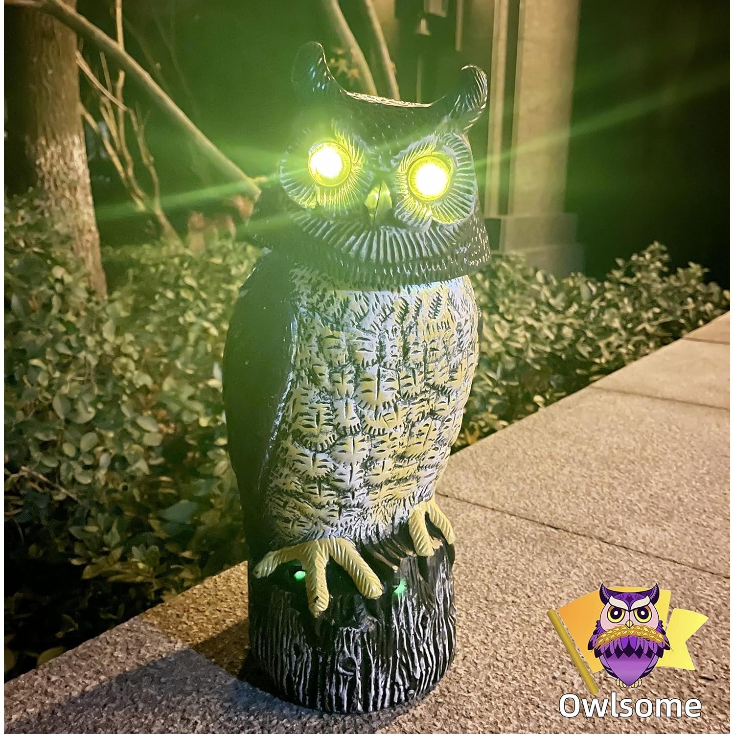 Búho Solar Owlsome con Ojos Brillantes y Sonido - Jardín