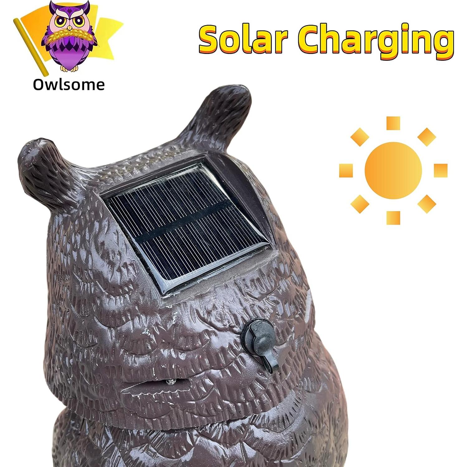 Búho Solar Owlsome con Ojos Brillantes y Sonido - Jardín