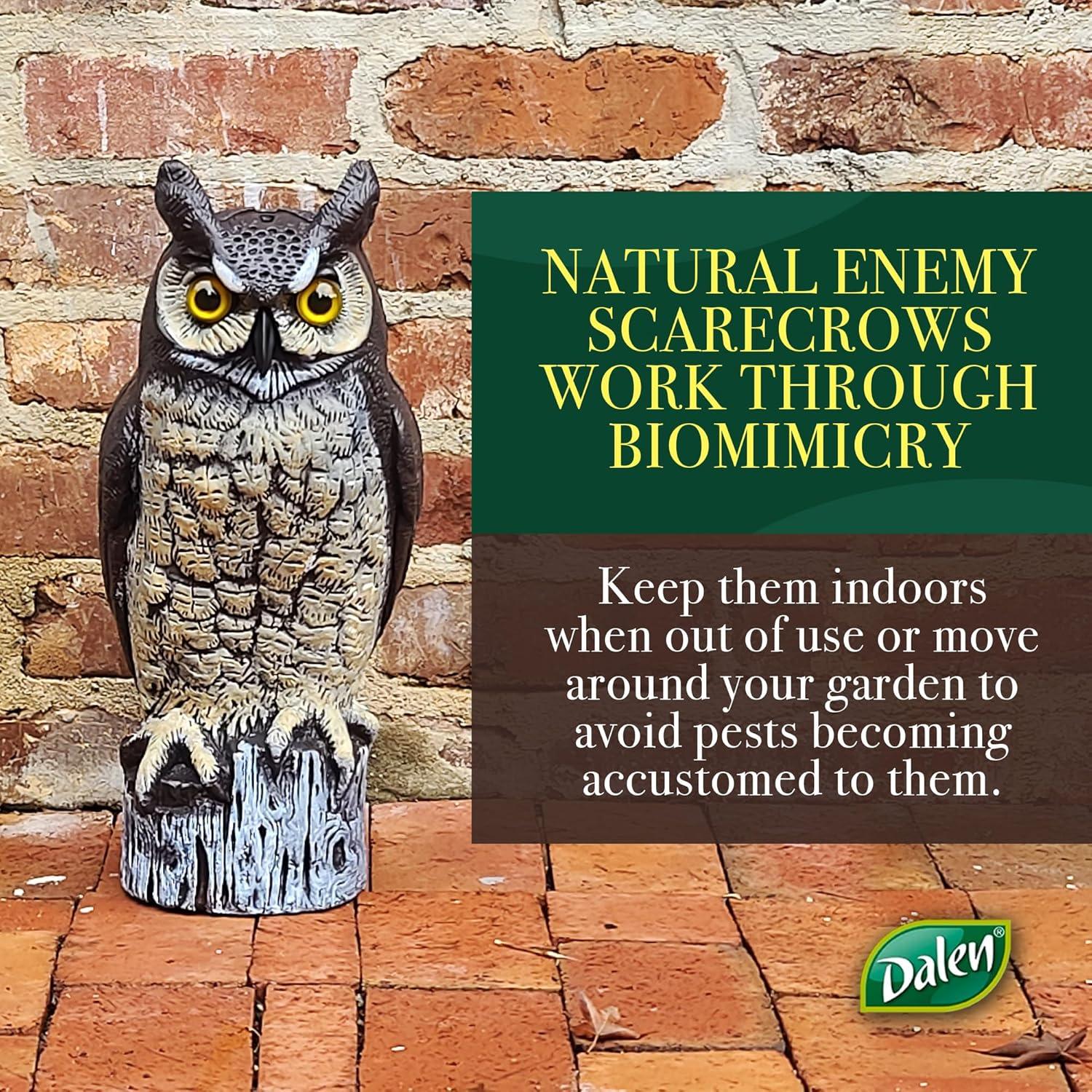 Espantapájaros Dalen Gran Búho Real 40.64 cm - Control Plagas