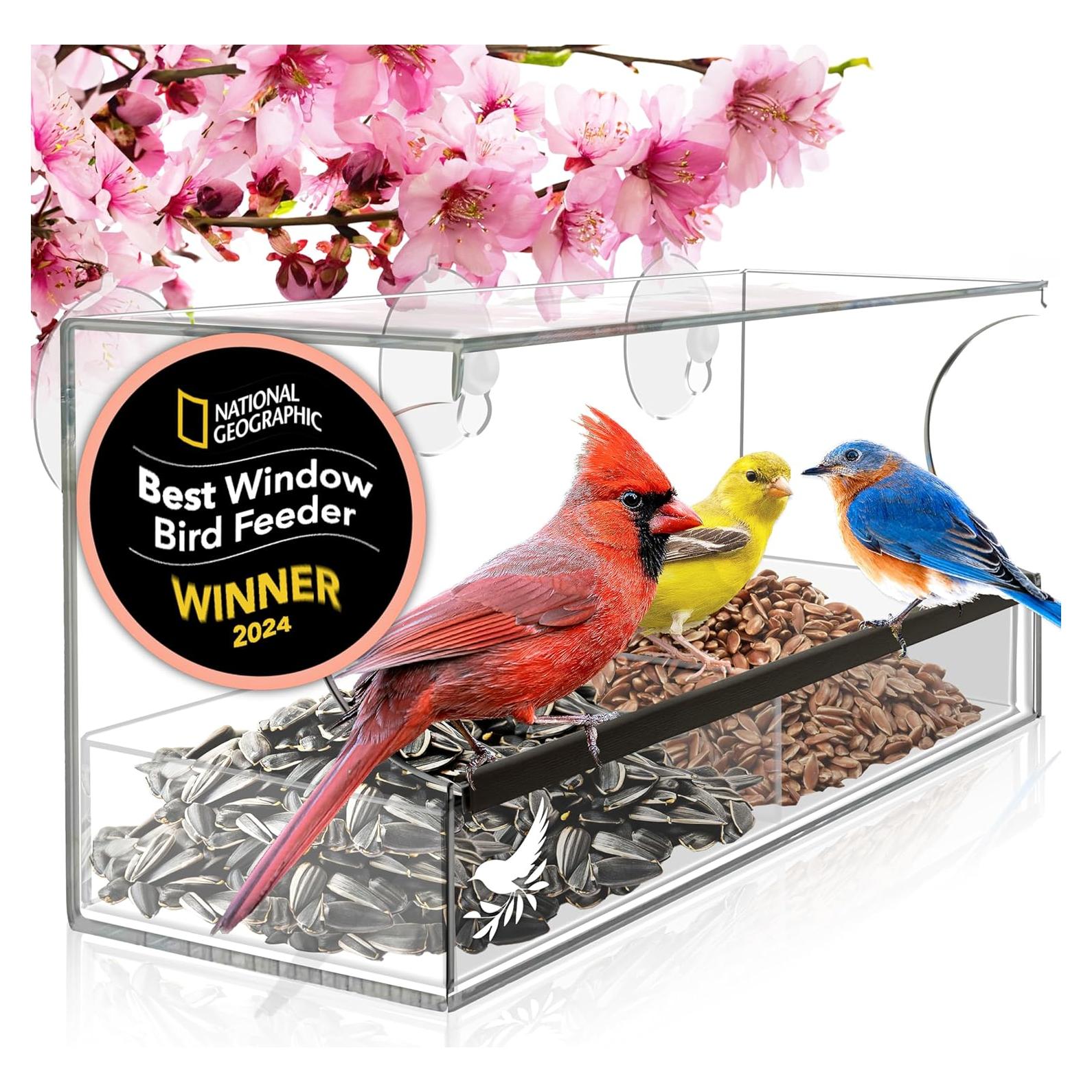 Comedero para Aves de Ventana Nature's Hangout - Acrílico Transparente
