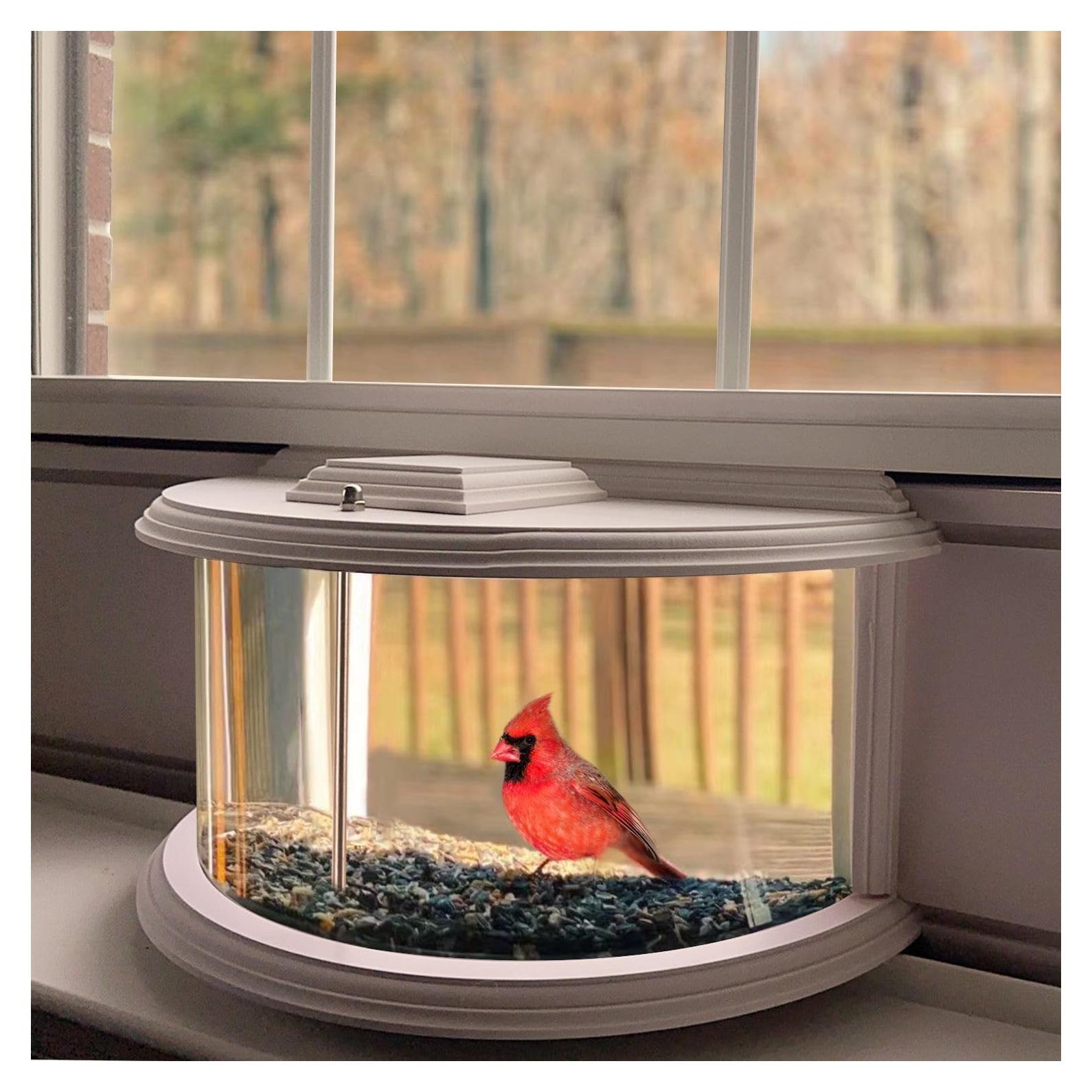 Comedero de Aves para Ventana BAIAPEY - Ajuste 68.58-88.9 cm