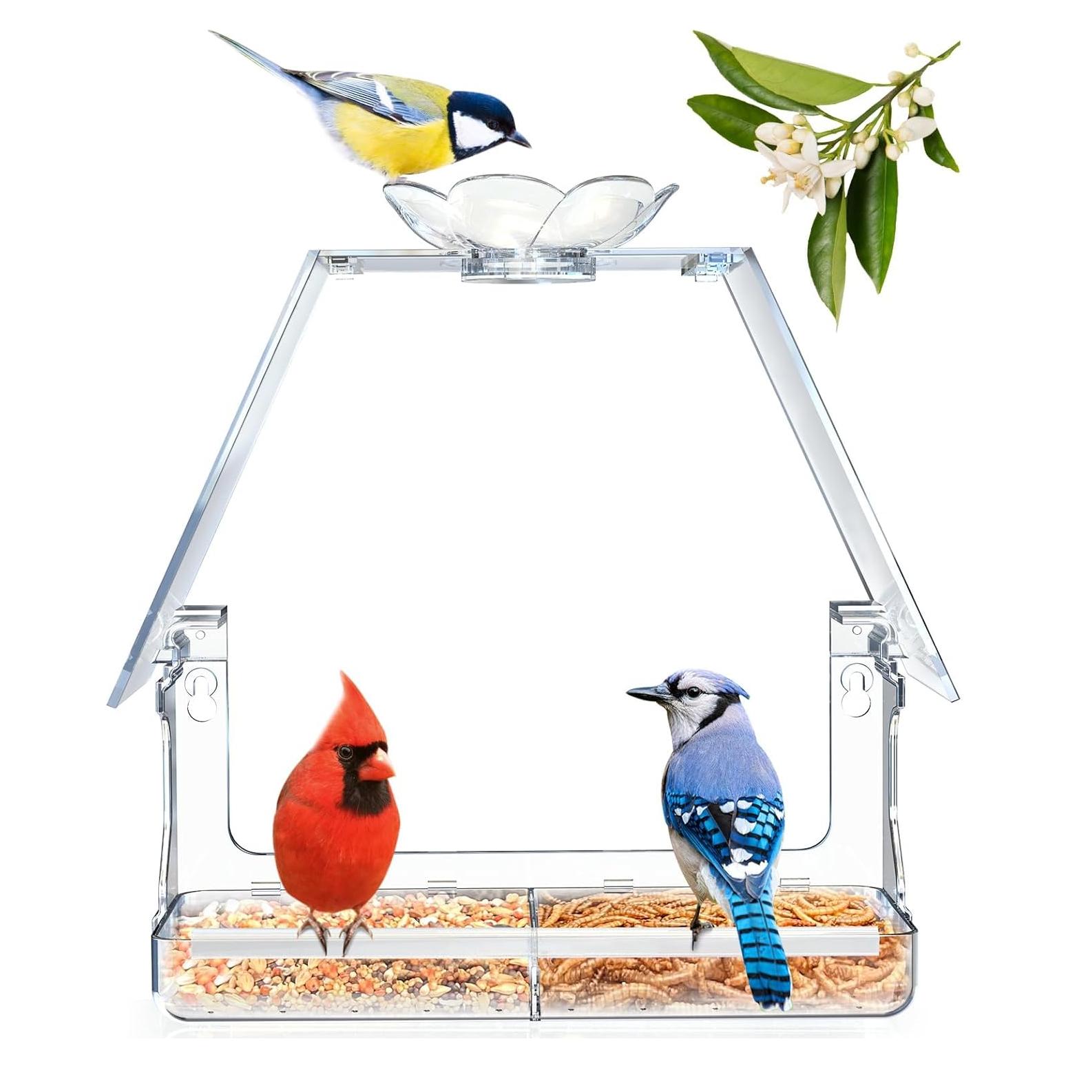Comedero para Aves de Ventana WENMIXER con Ventosas y Ganchos