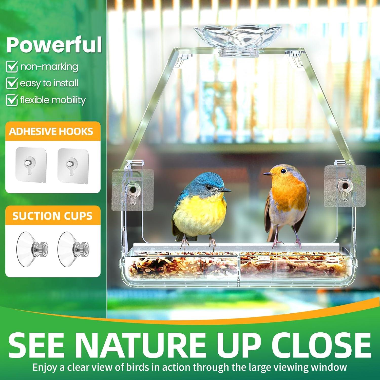Comedero para Aves de Ventana WENMIXER con Ventosas y Ganchos