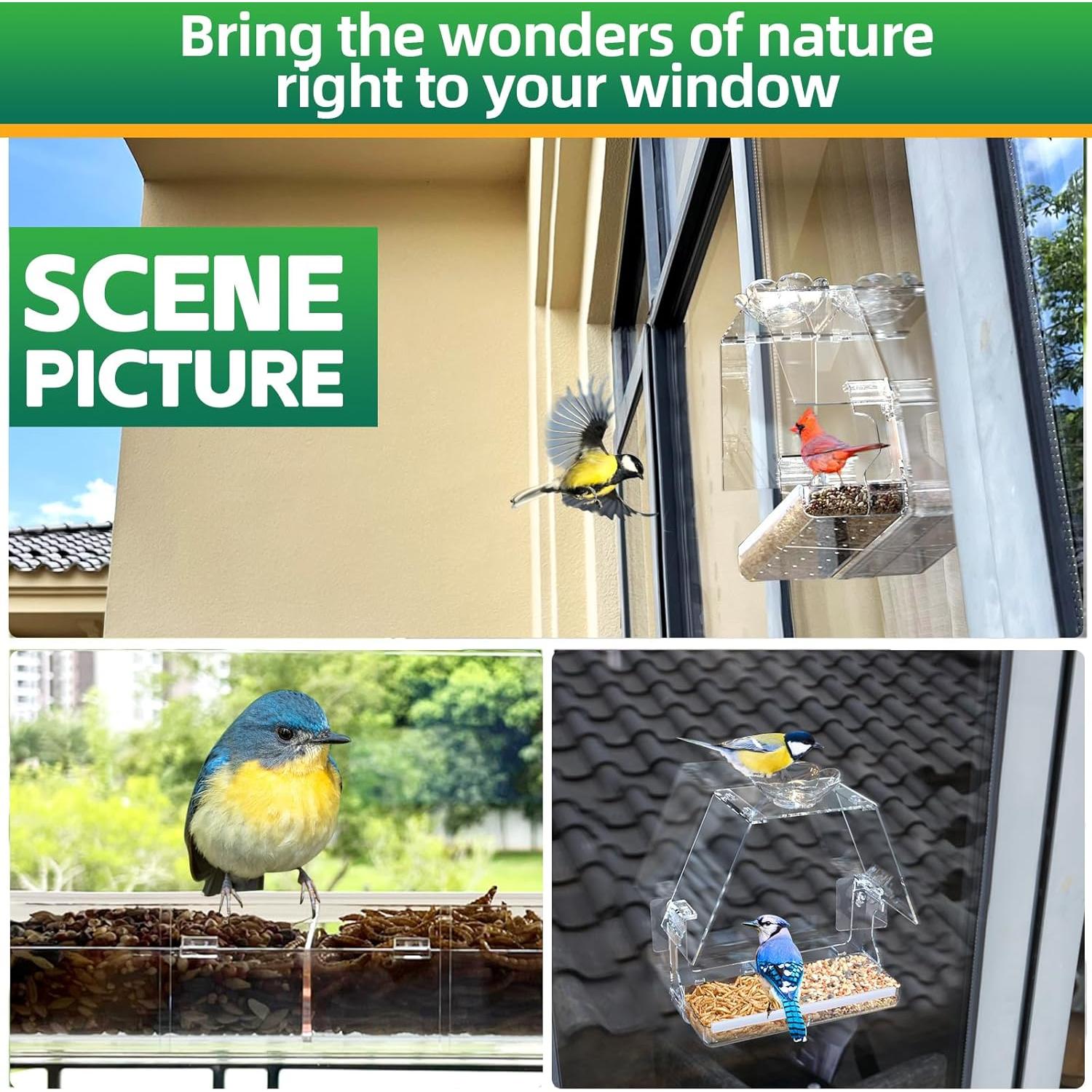 Comedero para Aves de Ventana WENMIXER con Ventosas y Ganchos