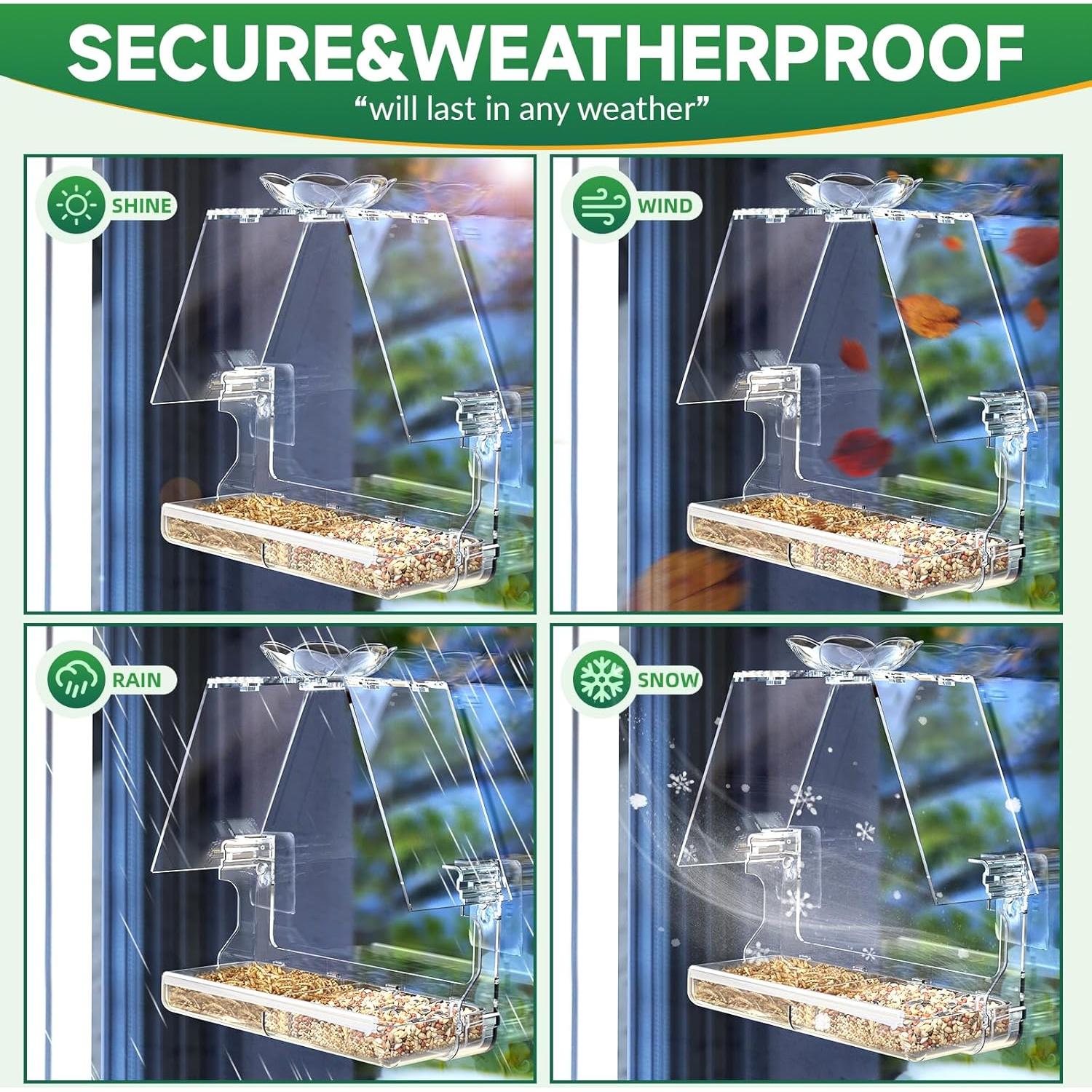 Comedero para Aves de Ventana WENMIXER con Ventosas y Ganchos