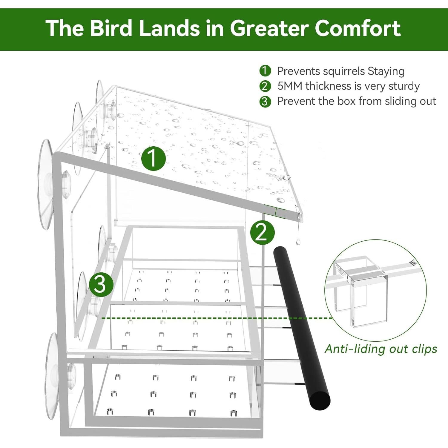 Comedero para Aves de Ventana DY-SKTY Transparente 30x11x12cm