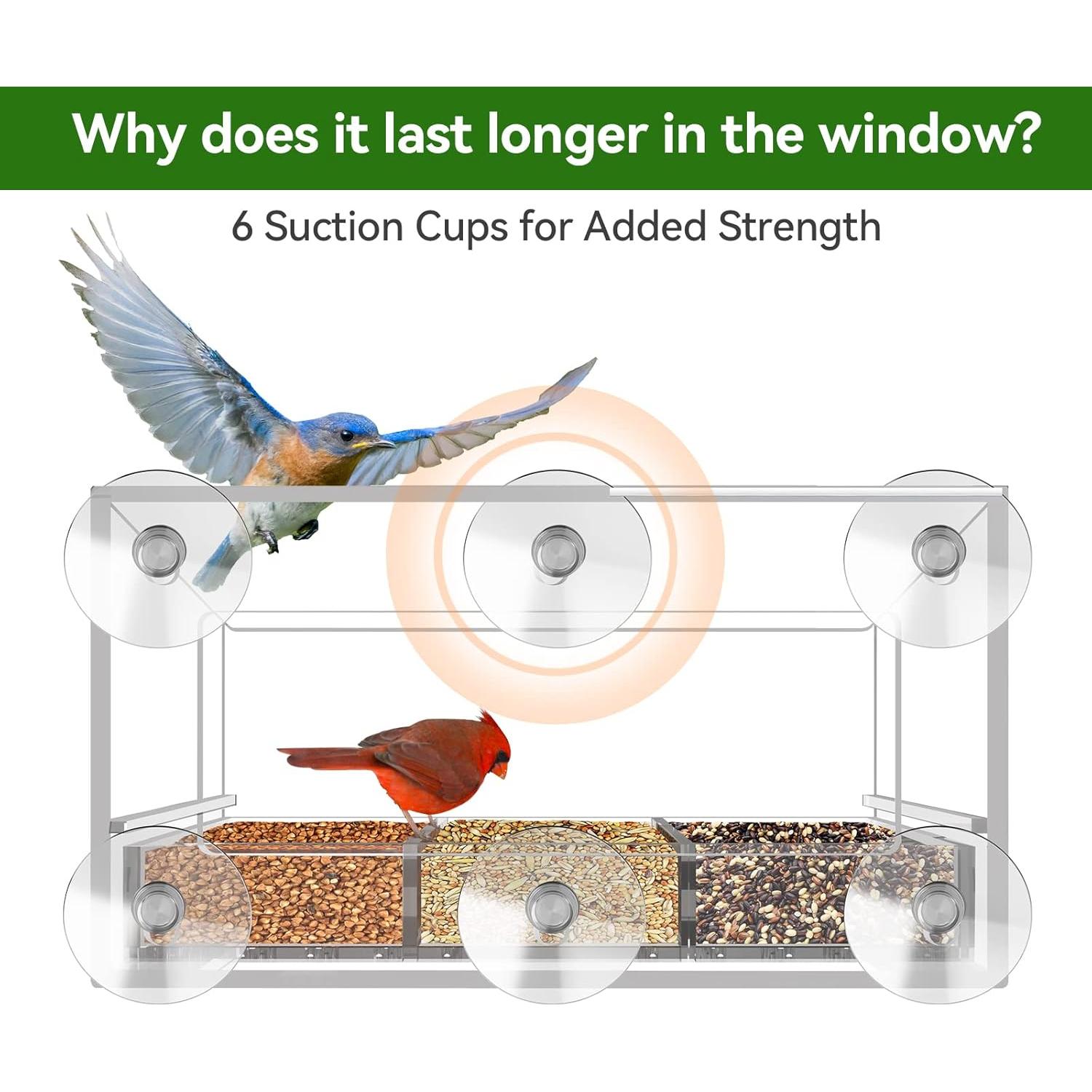 Comedero para Aves de Ventana DY-SKTY Transparente 30x11x12cm