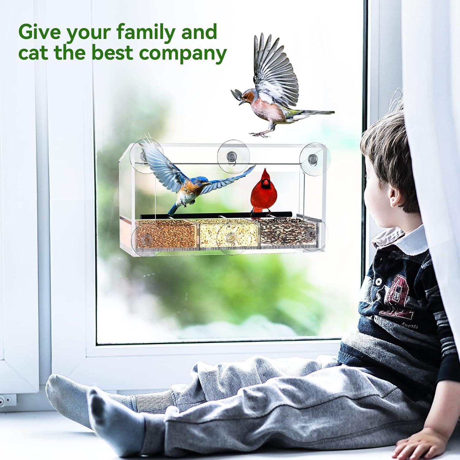 Comedero para Aves de Ventana DY-SKTY Transparente 30x11x12cm