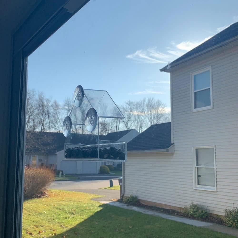 Comedero para Aves Forfuture-go Montaje en Ventana 15x6.5cm