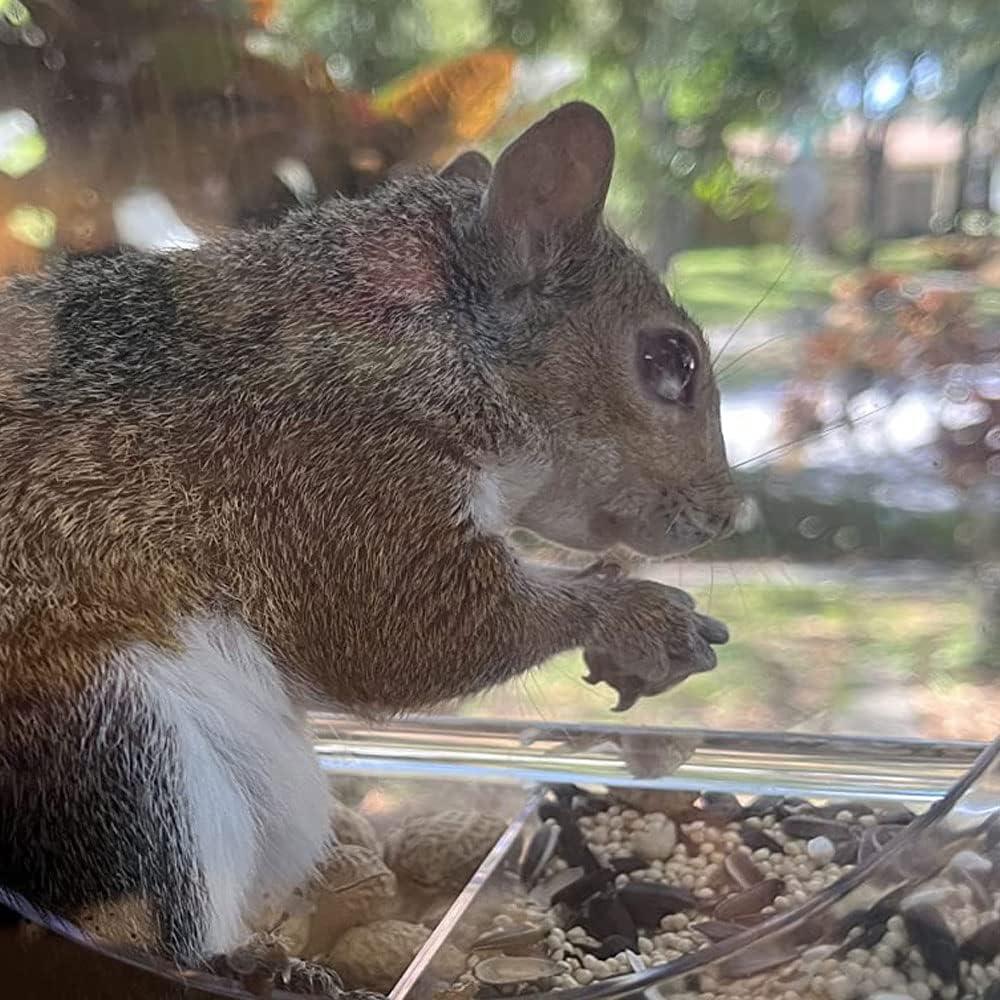 Comedero para Aves Forfuture-go Montaje en Ventana 15x6.5cm