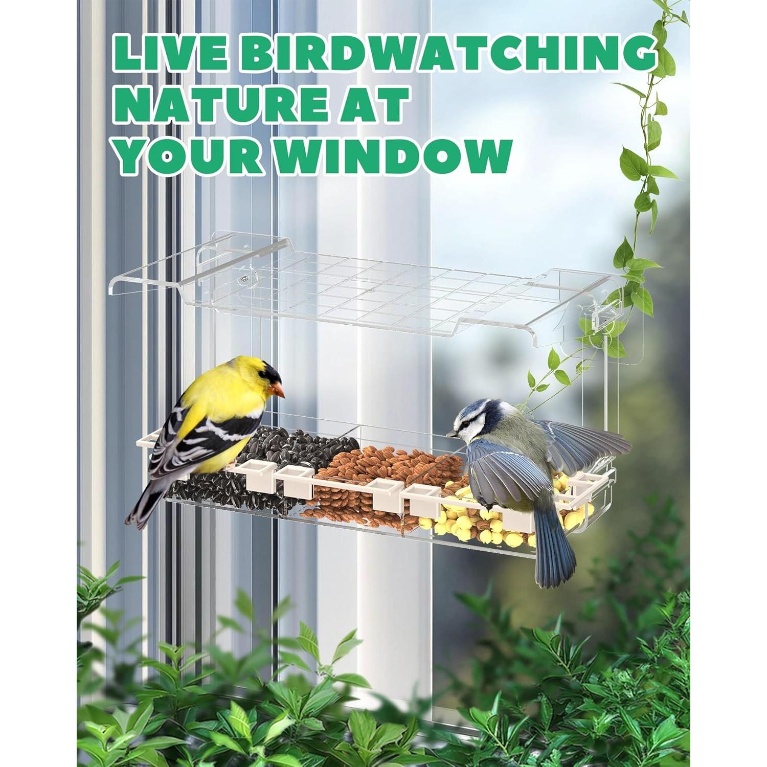 Comedero para Aves LMHOME Transparente 3 Compartimentos 320g