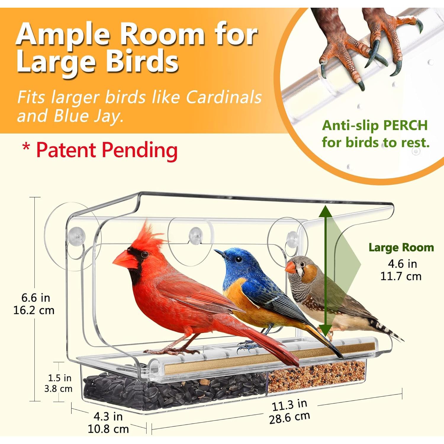 Comedero para Aves de Ventana LUJII Transparente 4 Tazas