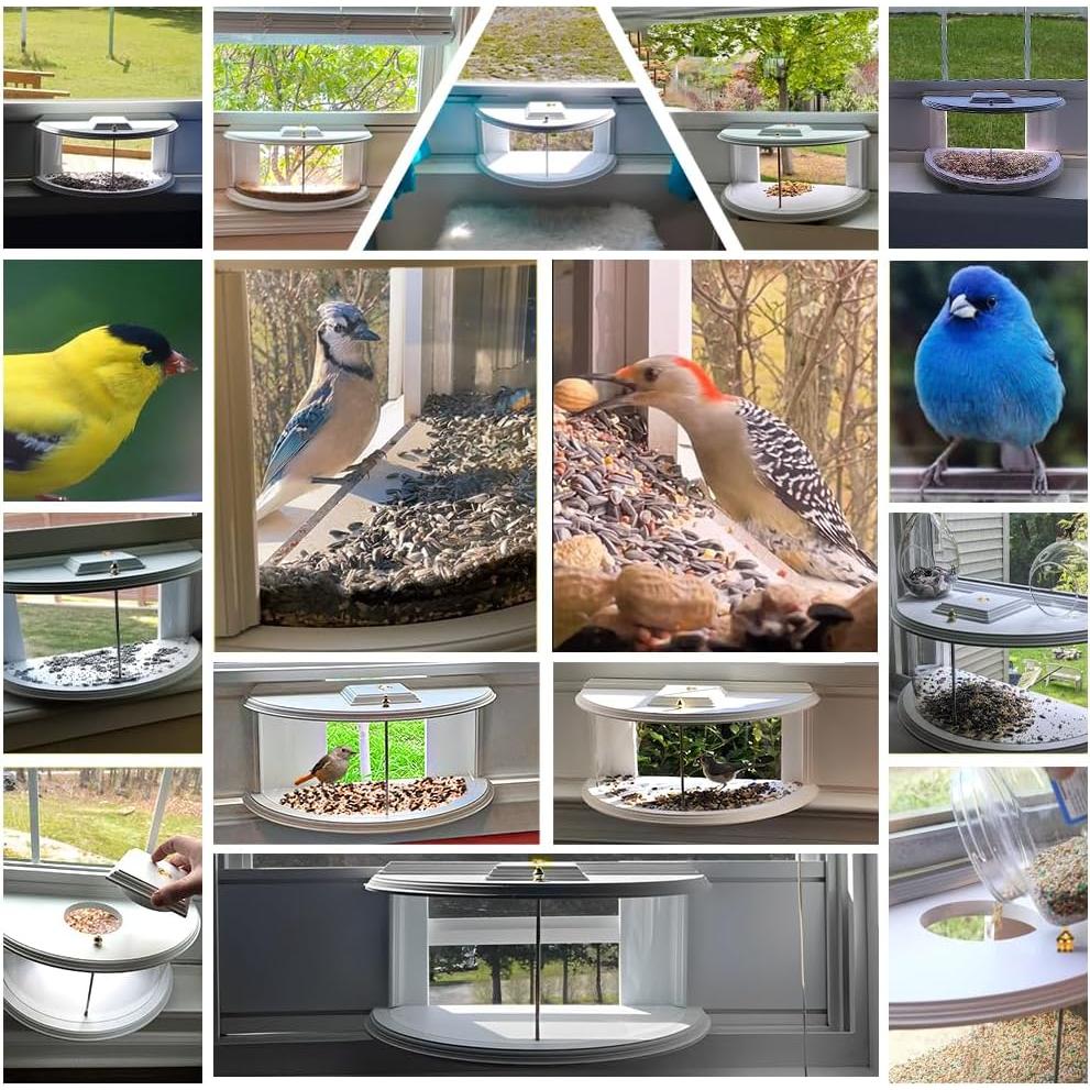 Alimentador de Aves de Ventana Kennels & Kats 63x28 cm