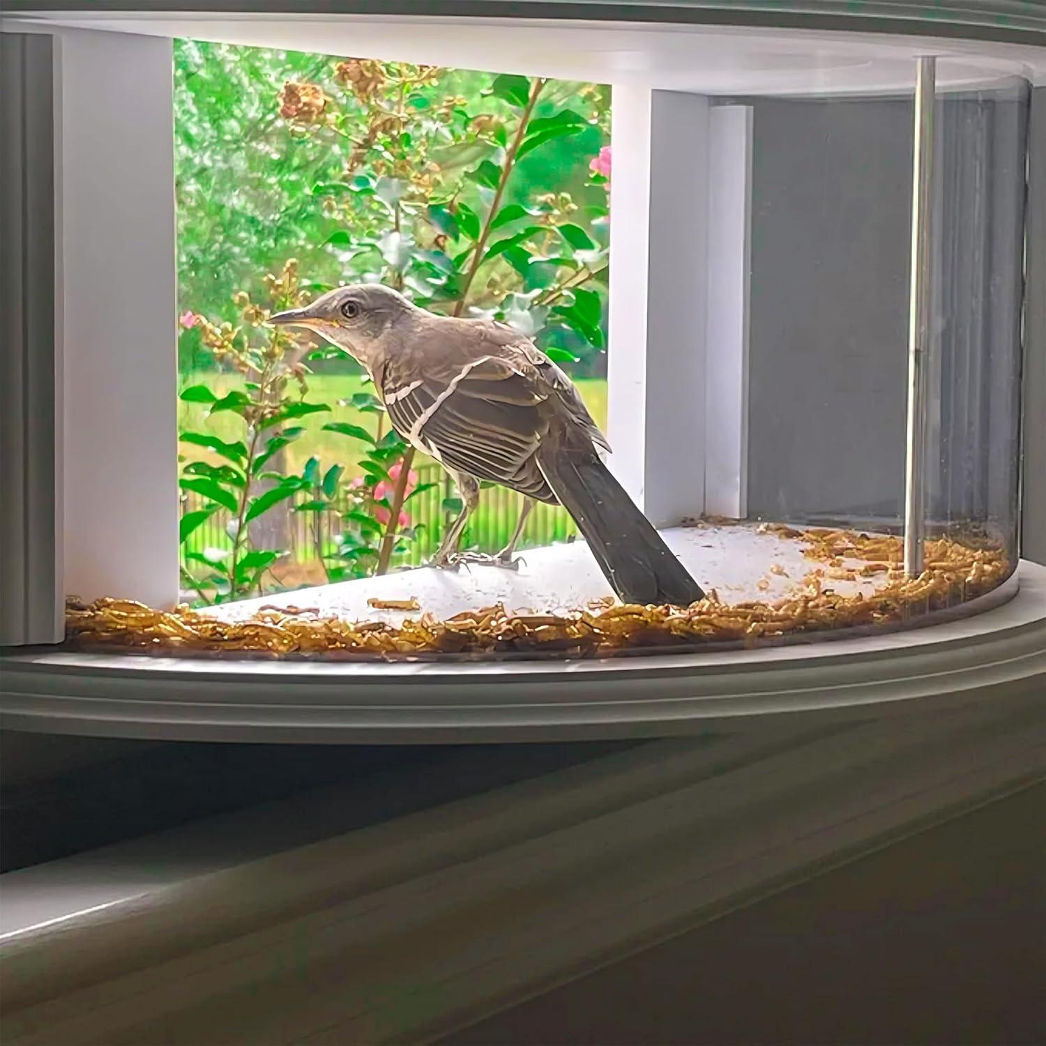 Alimentador de Aves de Ventana Kennels & Kats 63x28 cm