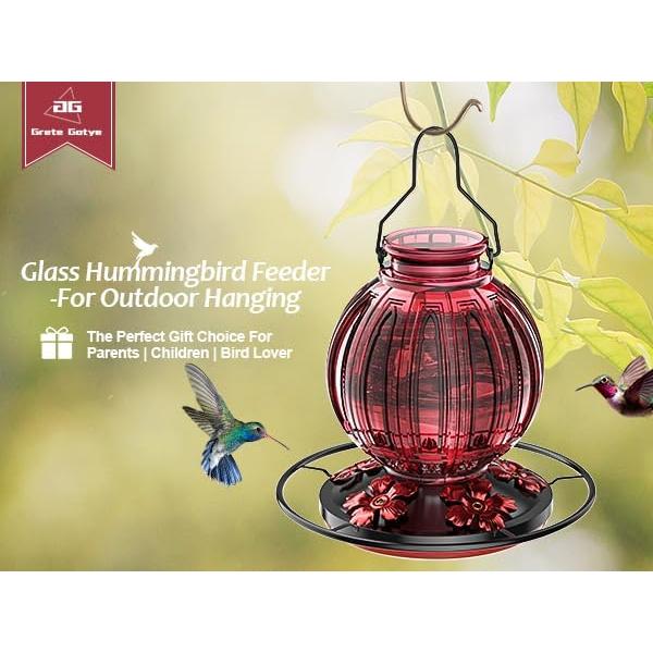 Alimentador de Colibrí de Vidrio Grete Gotye 0.73kg 5 Puertos