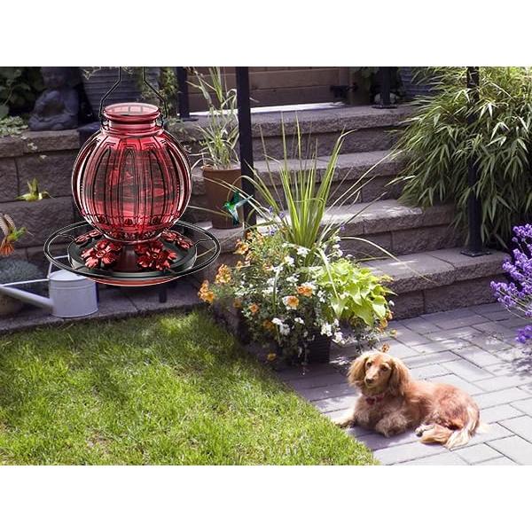 Alimentador de Colibrí de Vidrio Grete Gotye 0.73kg 5 Puertos