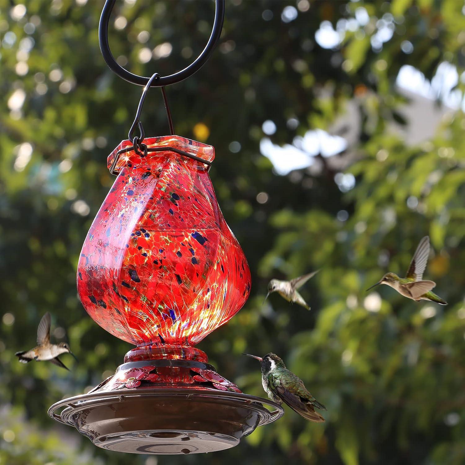 Alimentador de Colibríes BOLITE de Vidrio 0.62L con 5 Puertos