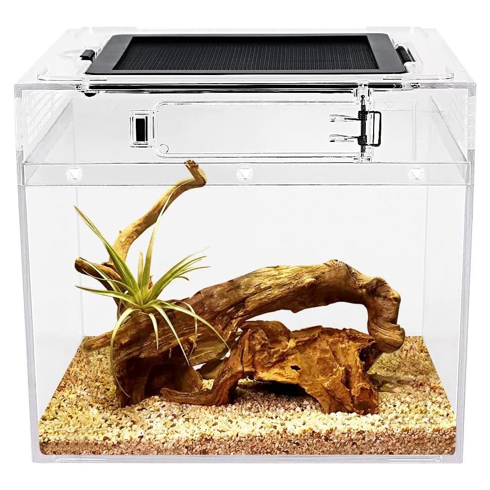 Mini Terrario para Reptiles Crecimiento de Reptiles 20.32 cm