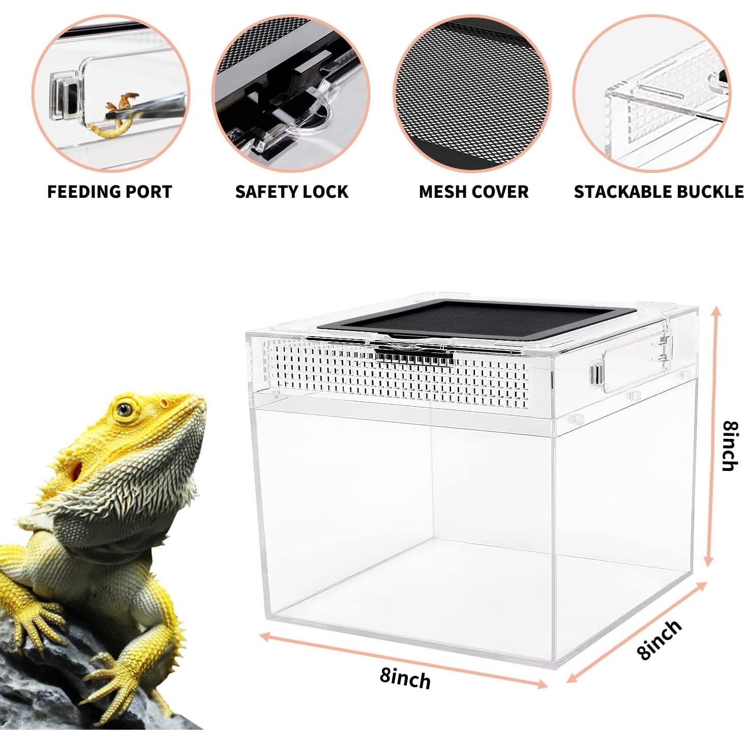 Mini Terrario para Reptiles Crecimiento de Reptiles 20.32 cm