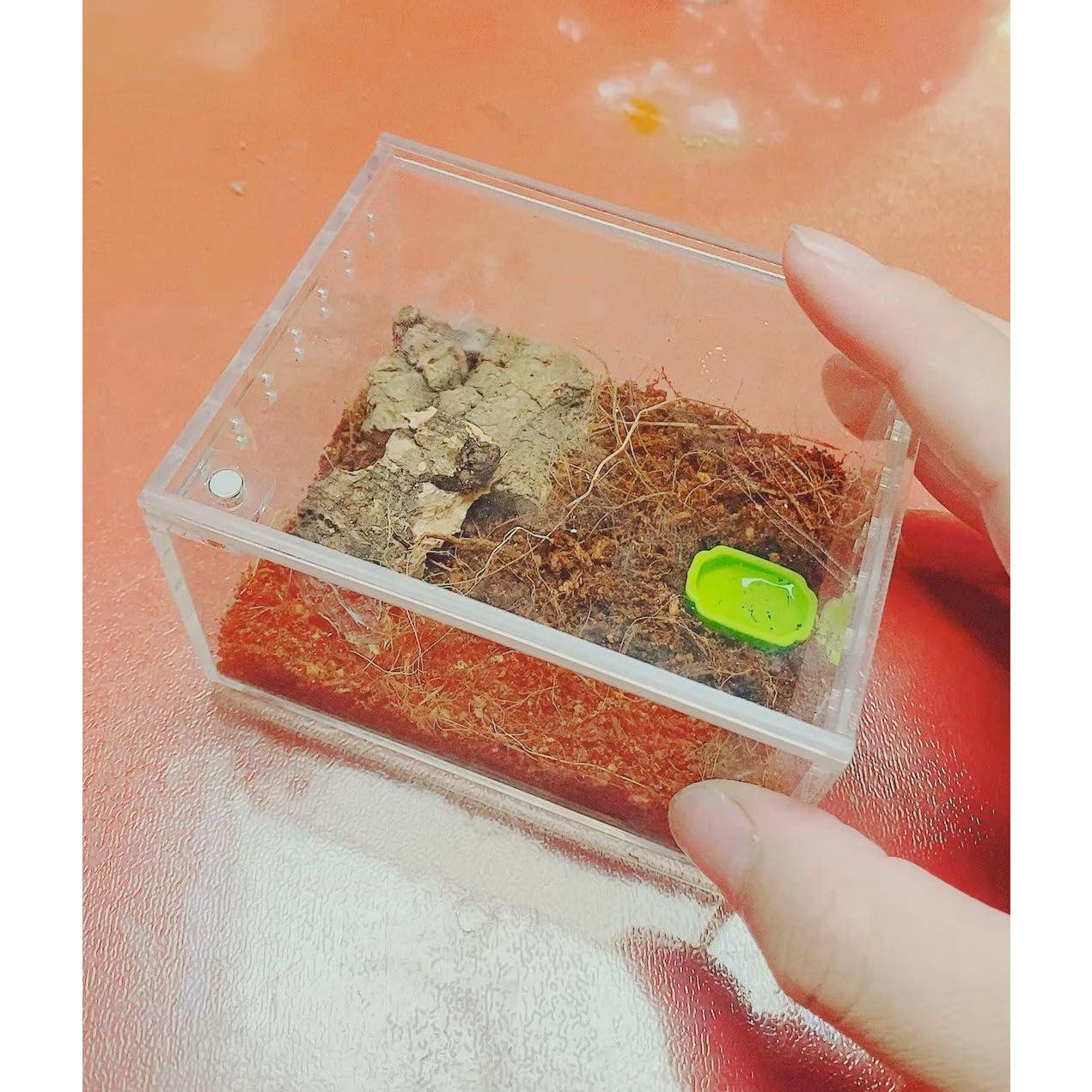 Caja de cría de insectos AWXZOM 10x8.5x6cm Acrílico Transparente