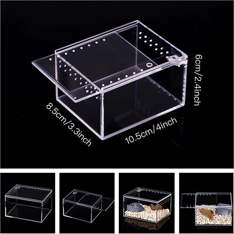 Caja de cría de insectos AWXZOM 10x8.5x6cm Acrílico Transparente