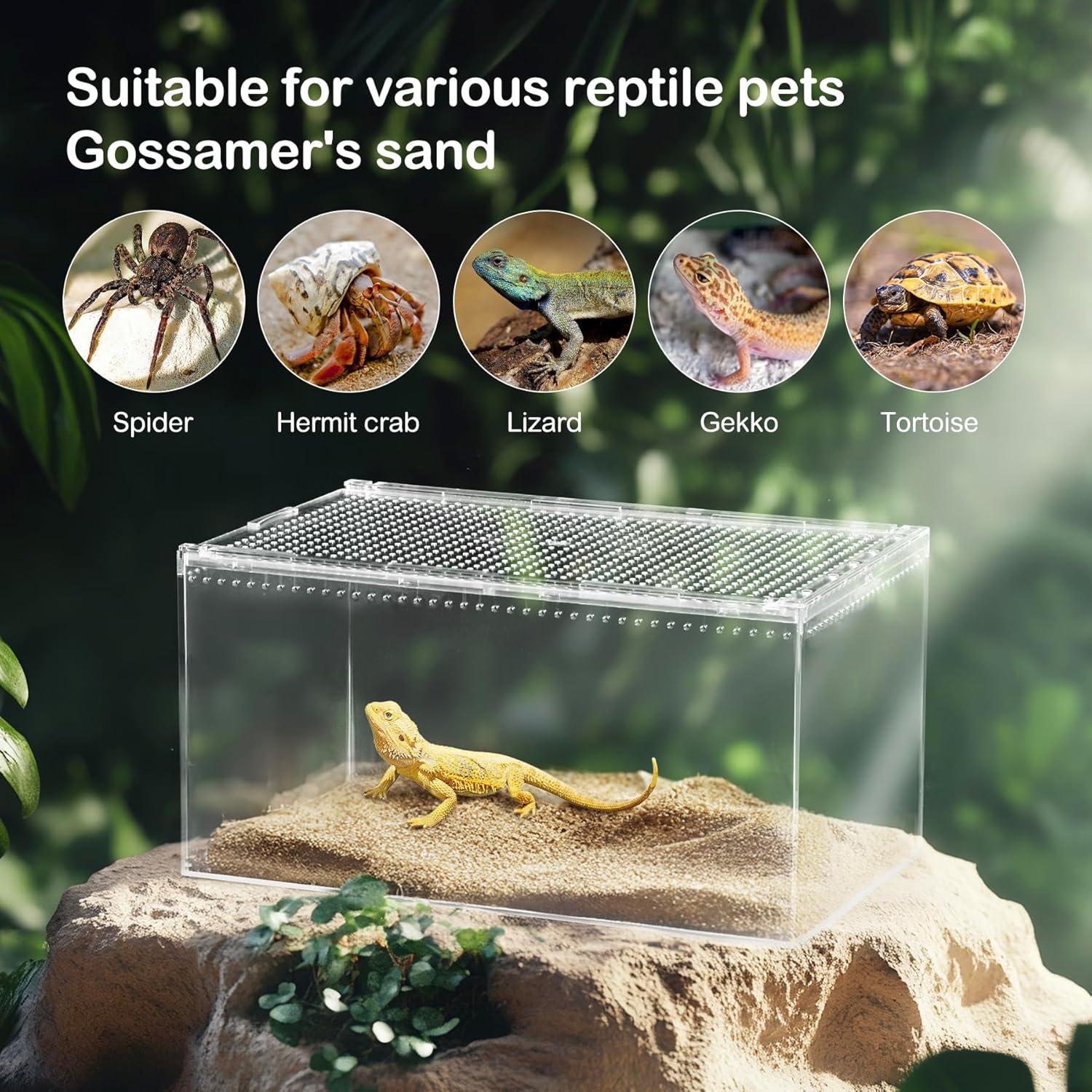 Terrario para reptiles Clioran 20x15x10 cm con tapa deslizante