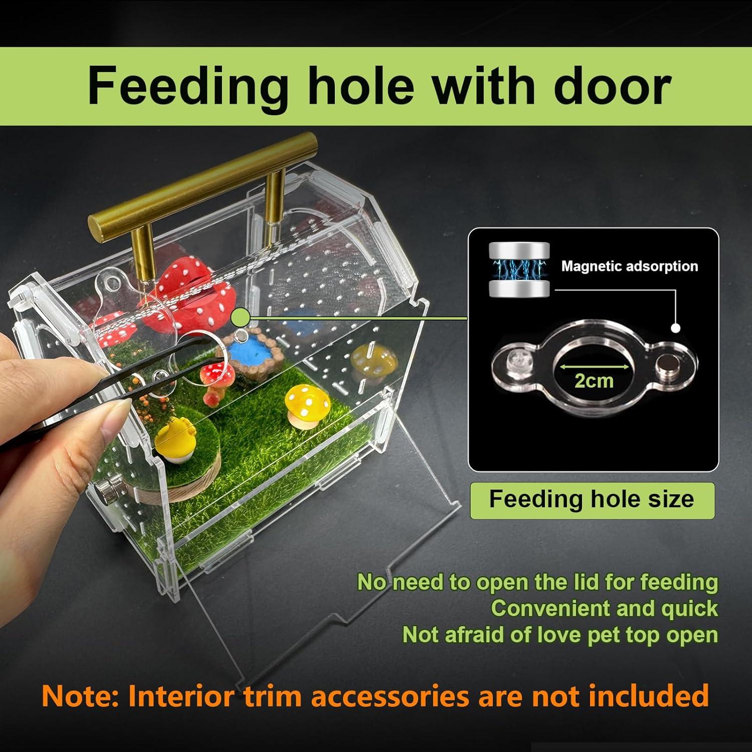 Recinto Acrílico para Araña Saltadora Julang 11.5x11x10.5cm