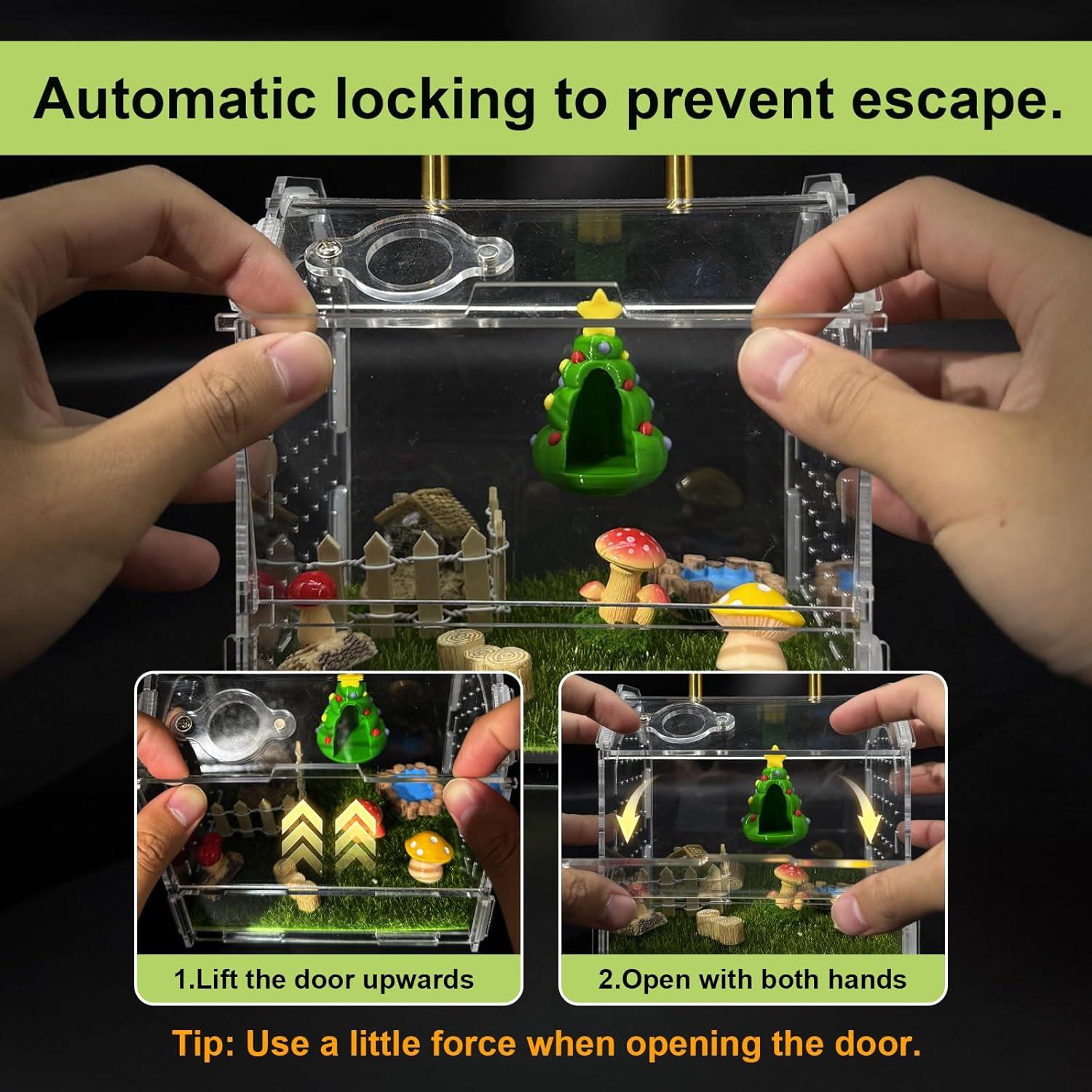 Recinto Acrílico para Araña Saltadora Julang 11.5x11x10.5cm