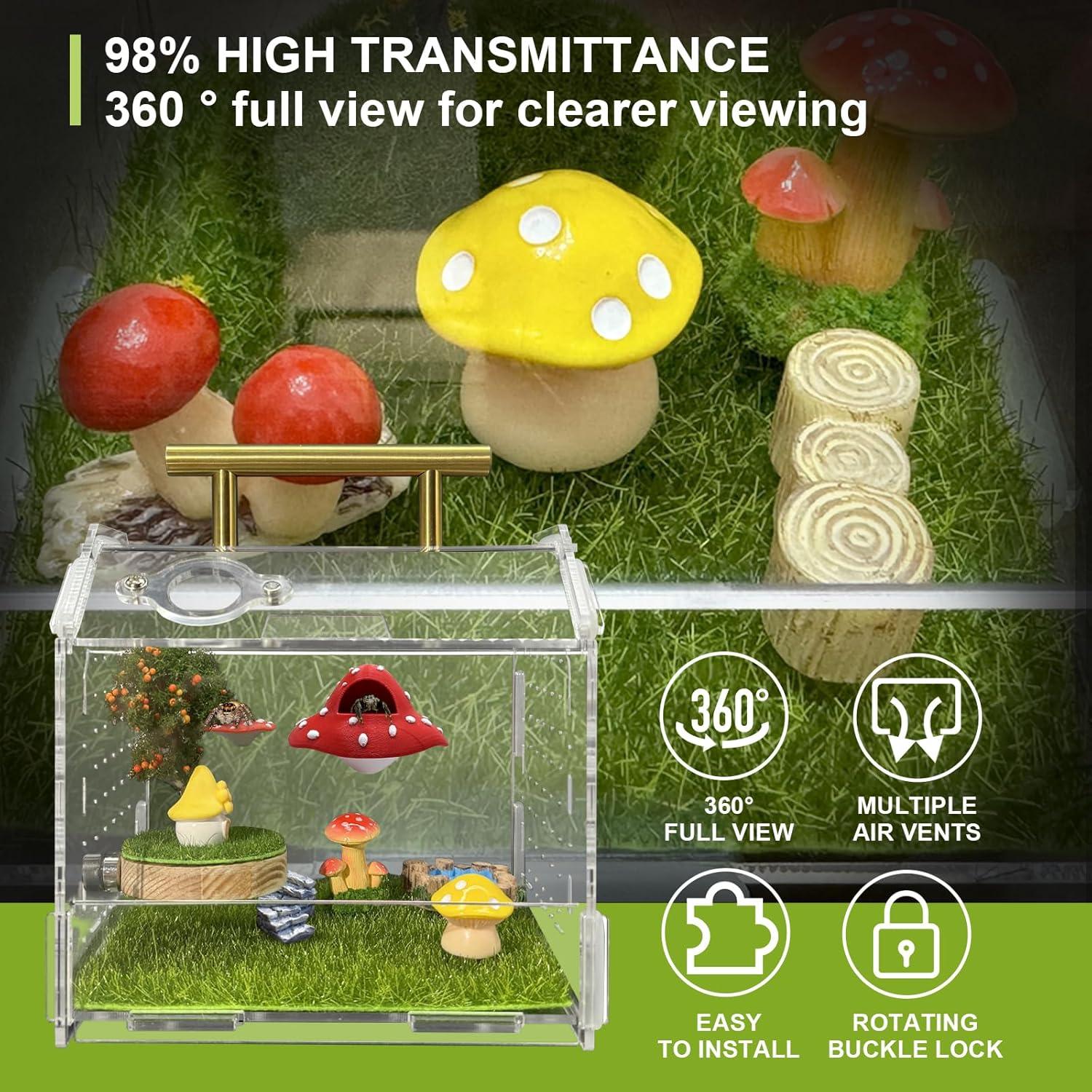 Recinto Acrílico para Araña Saltadora Julang 11.5x11x10.5cm