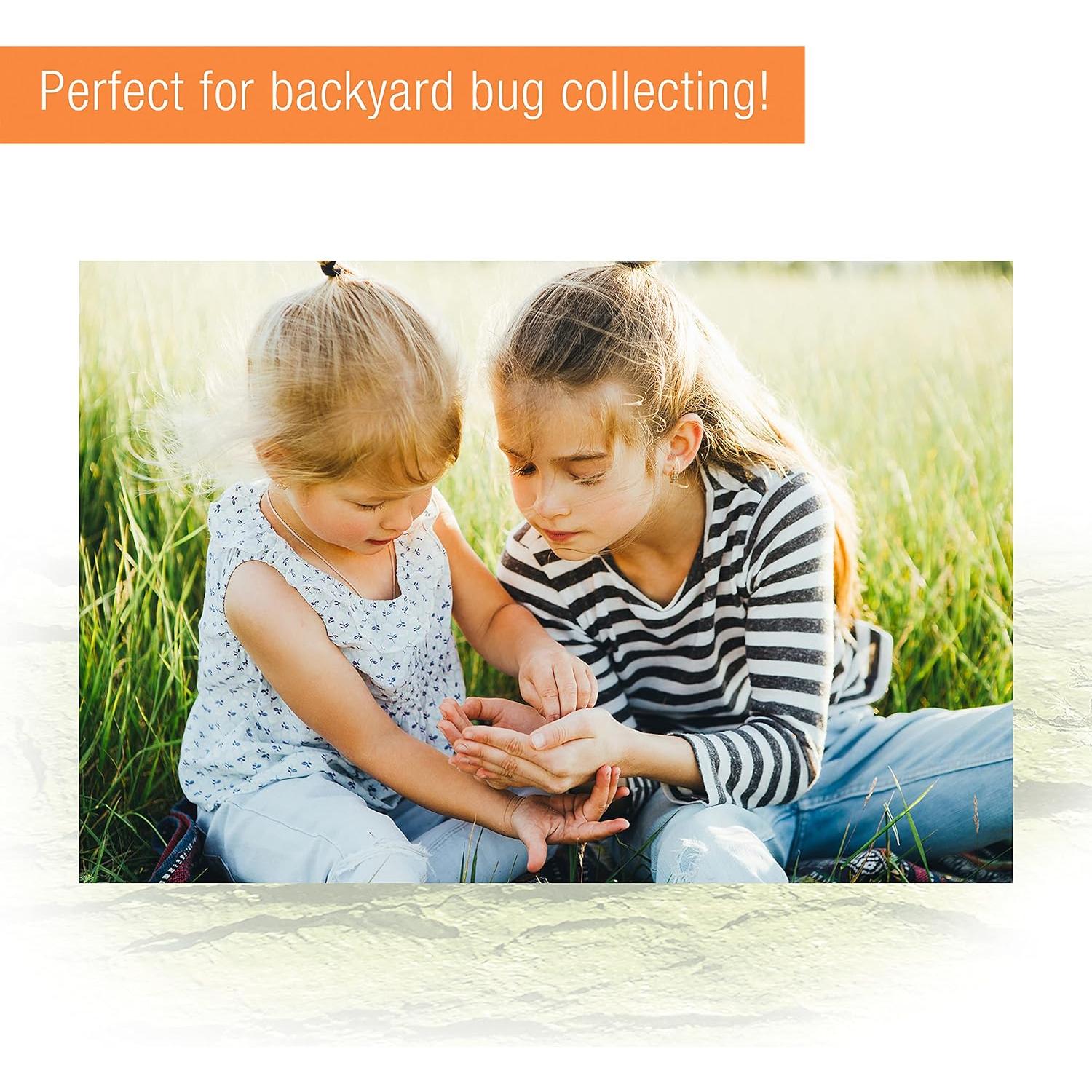 Terrario Zilla Micro Habitat Pequeño para Reptiles y Anfibios