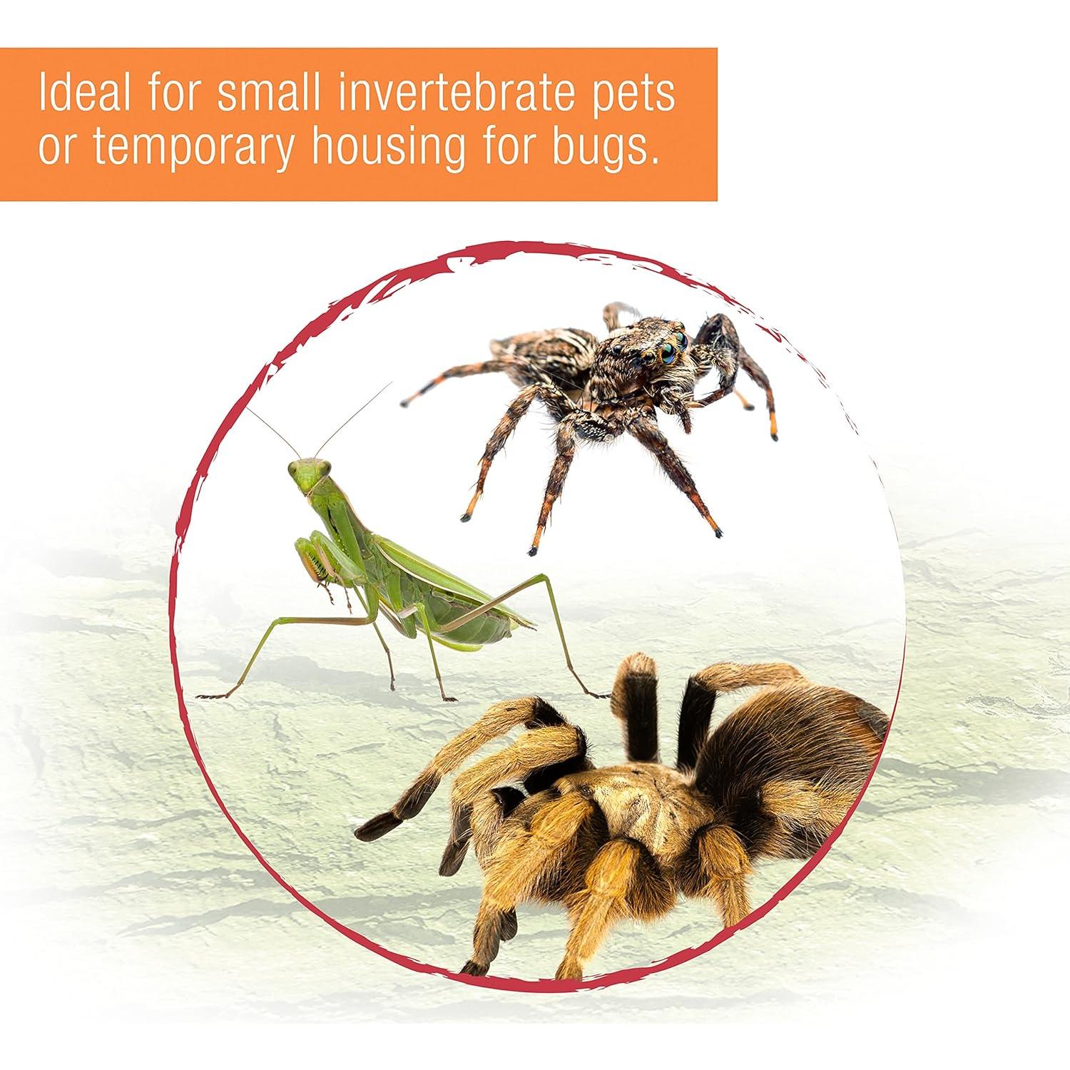 Terrario Zilla Micro Habitat Pequeño para Reptiles y Anfibios