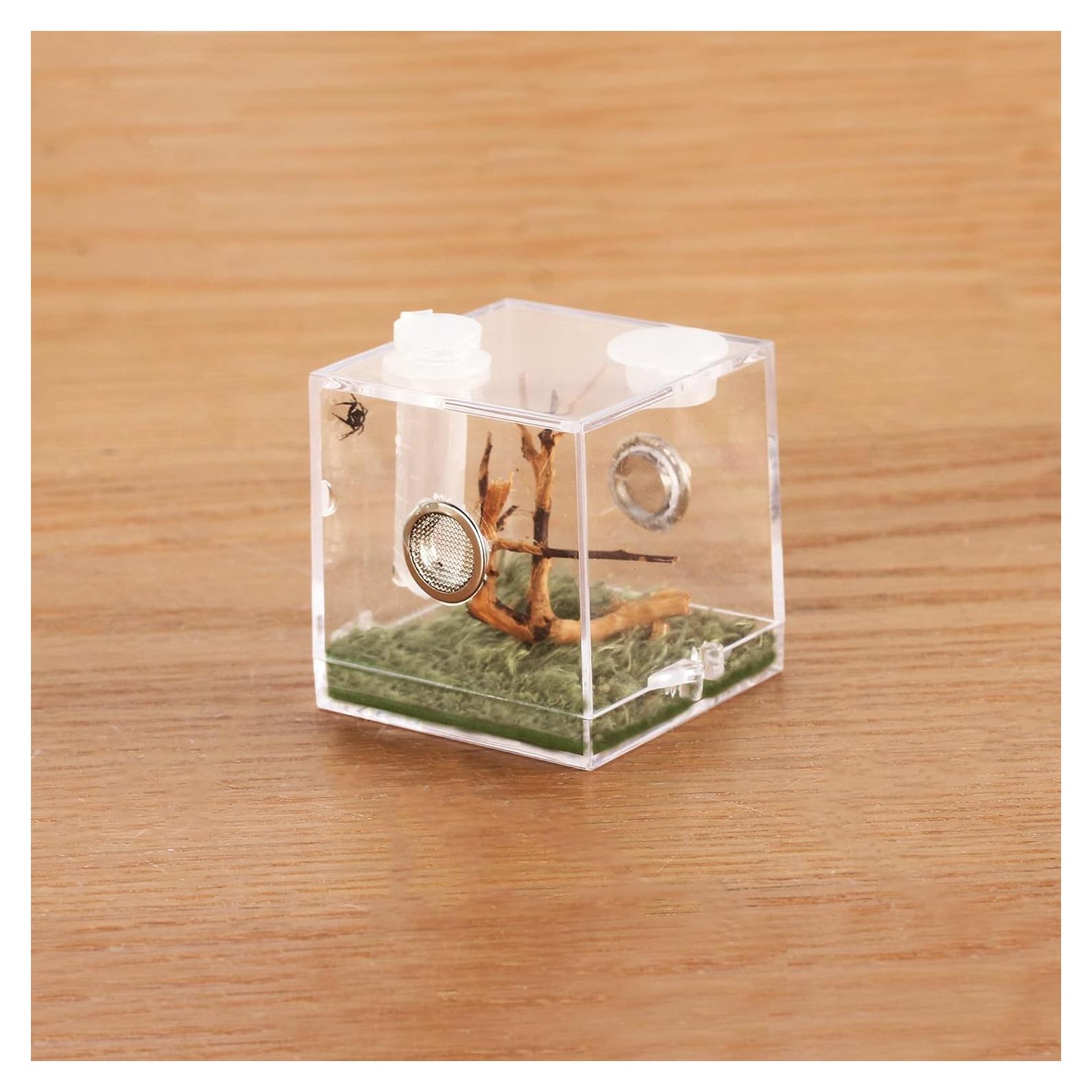 Caja de Cría de Insectos Acrílica Crapelles 5.08x5.08cm