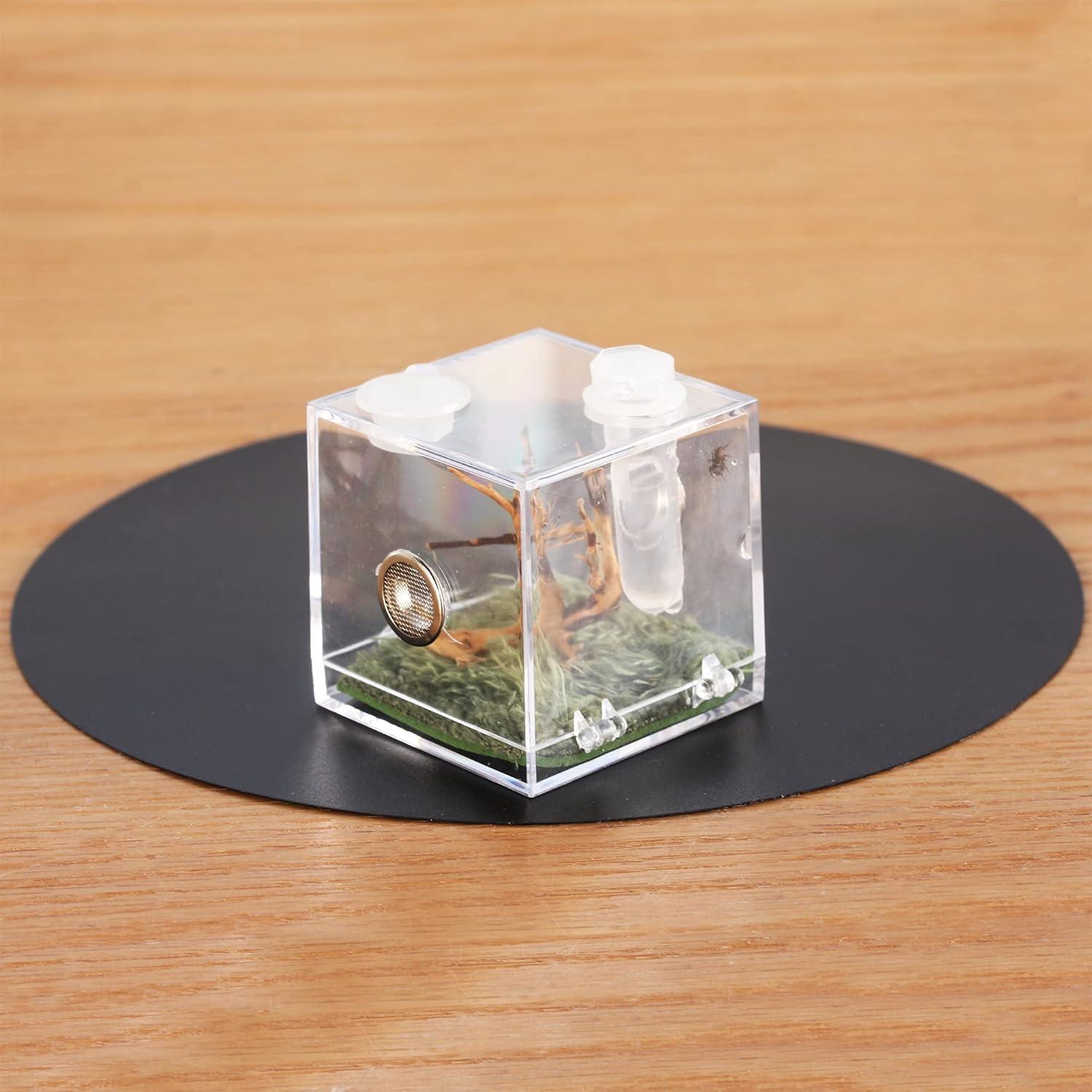 Caja de Cría de Insectos Acrílica Crapelles 5.08x5.08cm