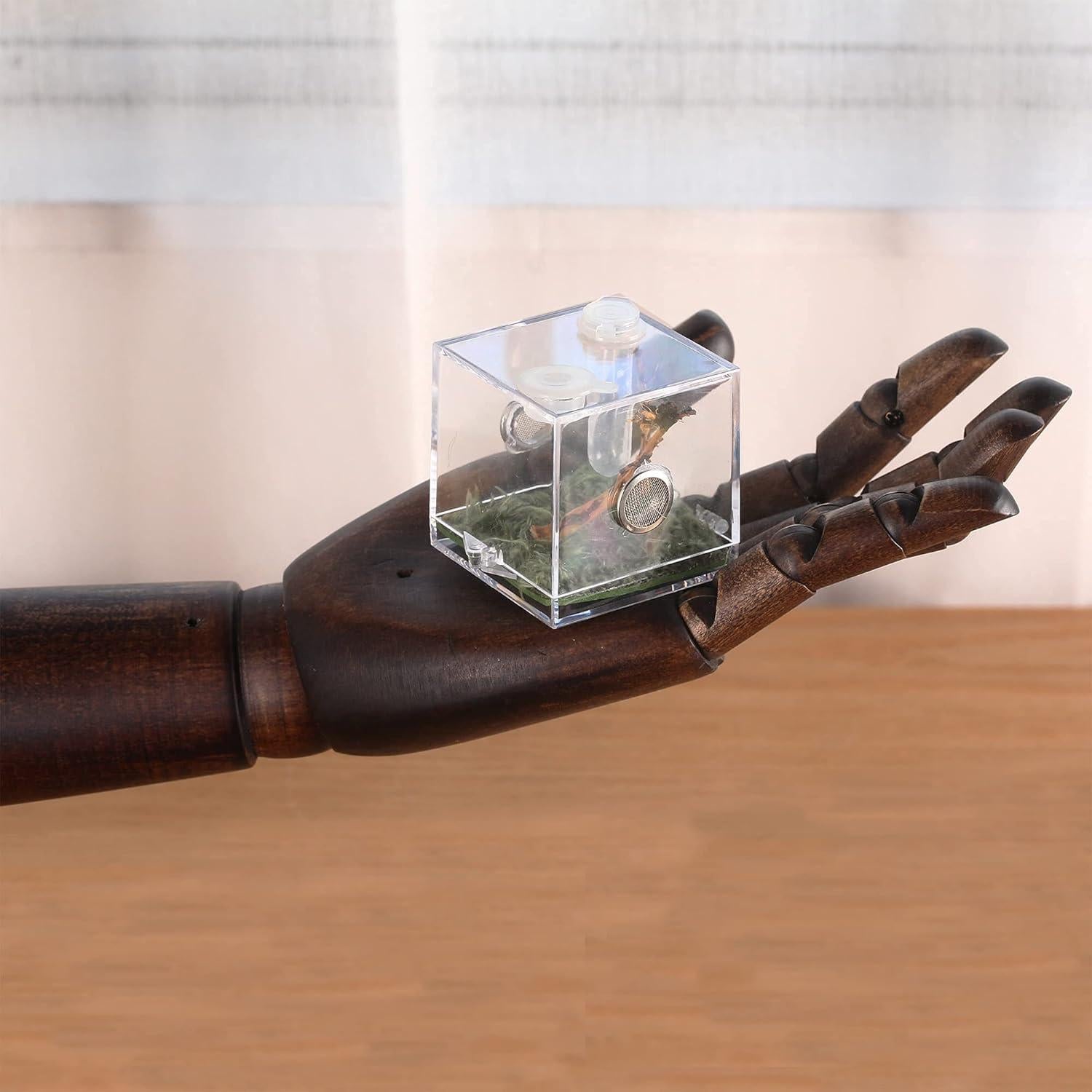 Caja de Cría de Insectos Acrílica Crapelles 5.08x5.08cm