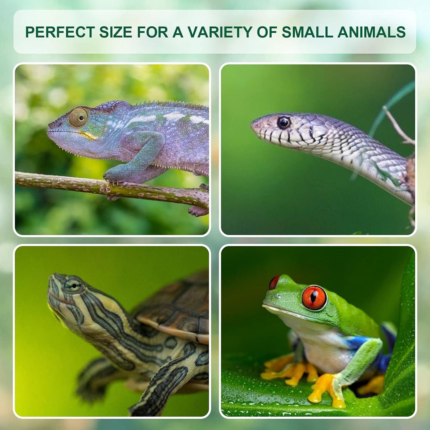 Tanque de Cría para Reptiles BETAZOOER 29x20cm con Higrómetro