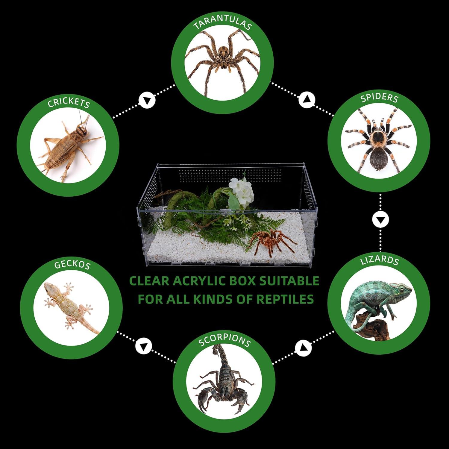 Terrario Acrílico UCandy 15.24x20.32x35.56 cm para Reptiles