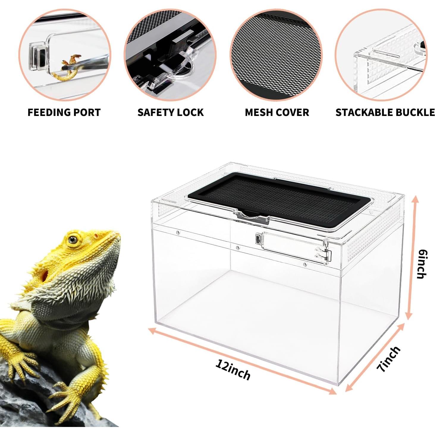 Mini Terrario para Reptiles Crecimiento de Reptiles 30 cm