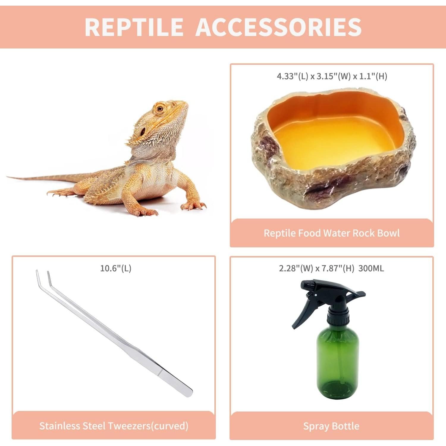 Mini Terrario para Reptiles Crecimiento de Reptiles 30 cm