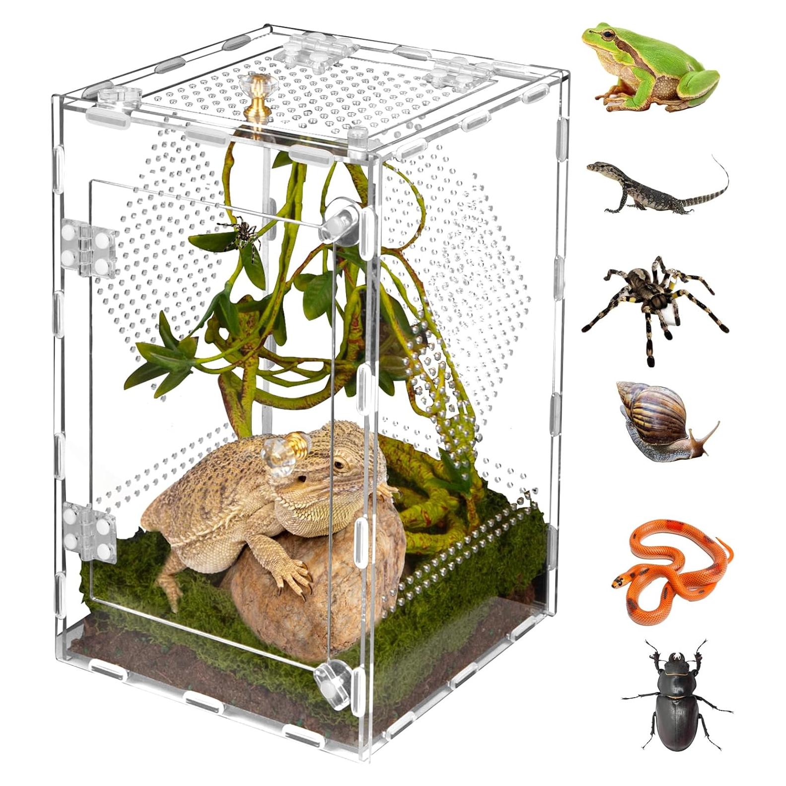Terrario de Reptiles Orekemo 30.48x20.32x20.32cm Acrílico