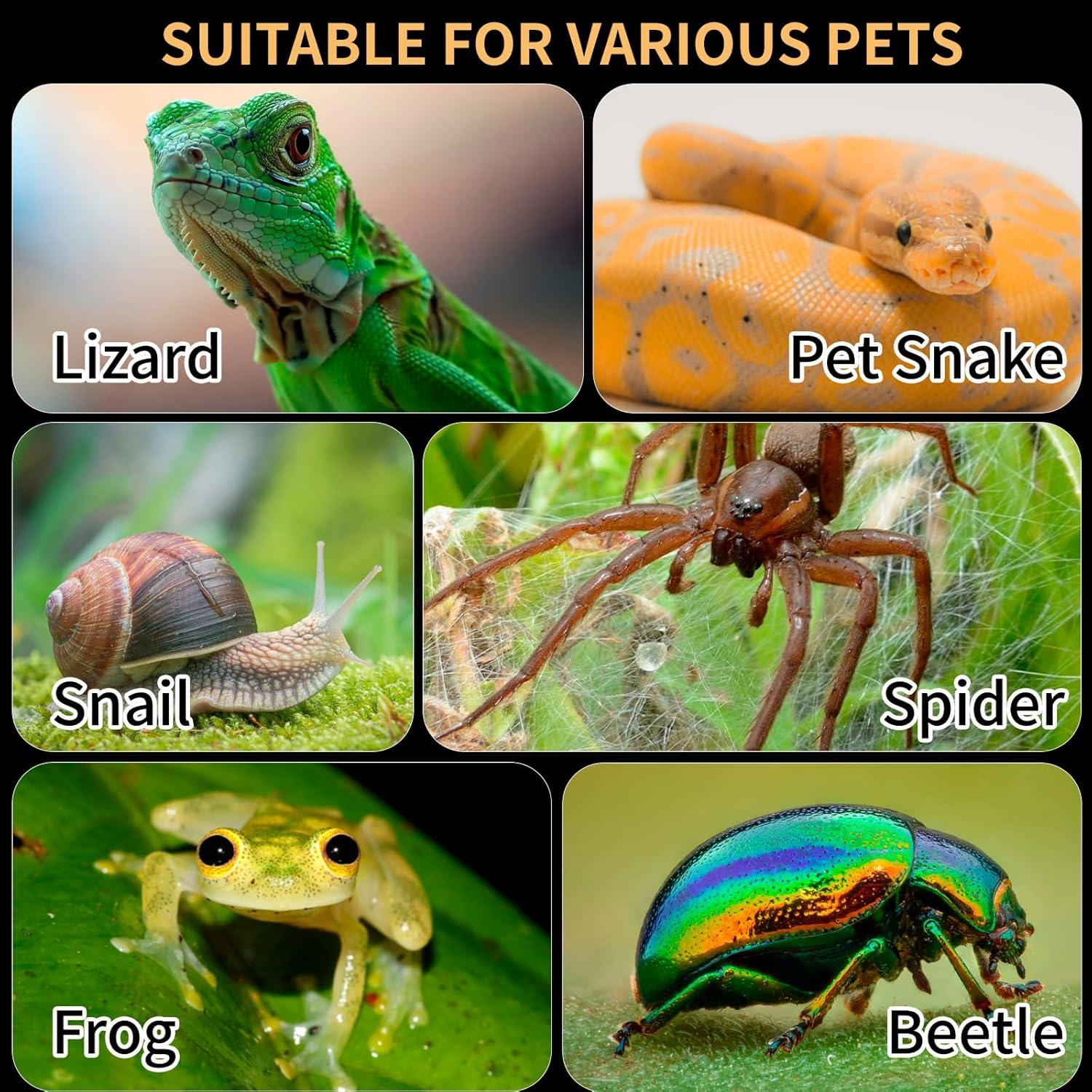 Terrario de Reptiles Orekemo 30.48x20.32x20.32cm Acrílico