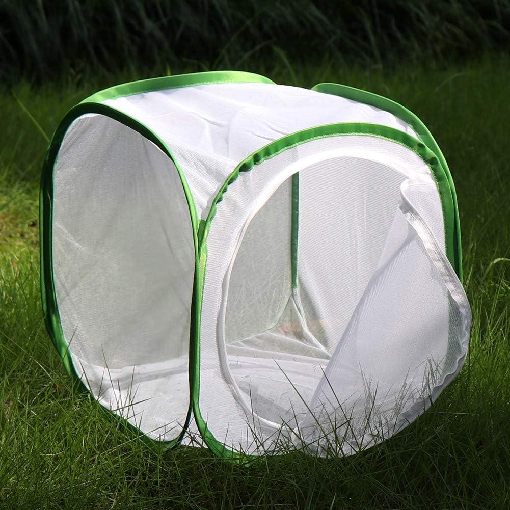 Jaula de Hábitat para Mariposas RESTCLOUD 30.48 cm Plegable