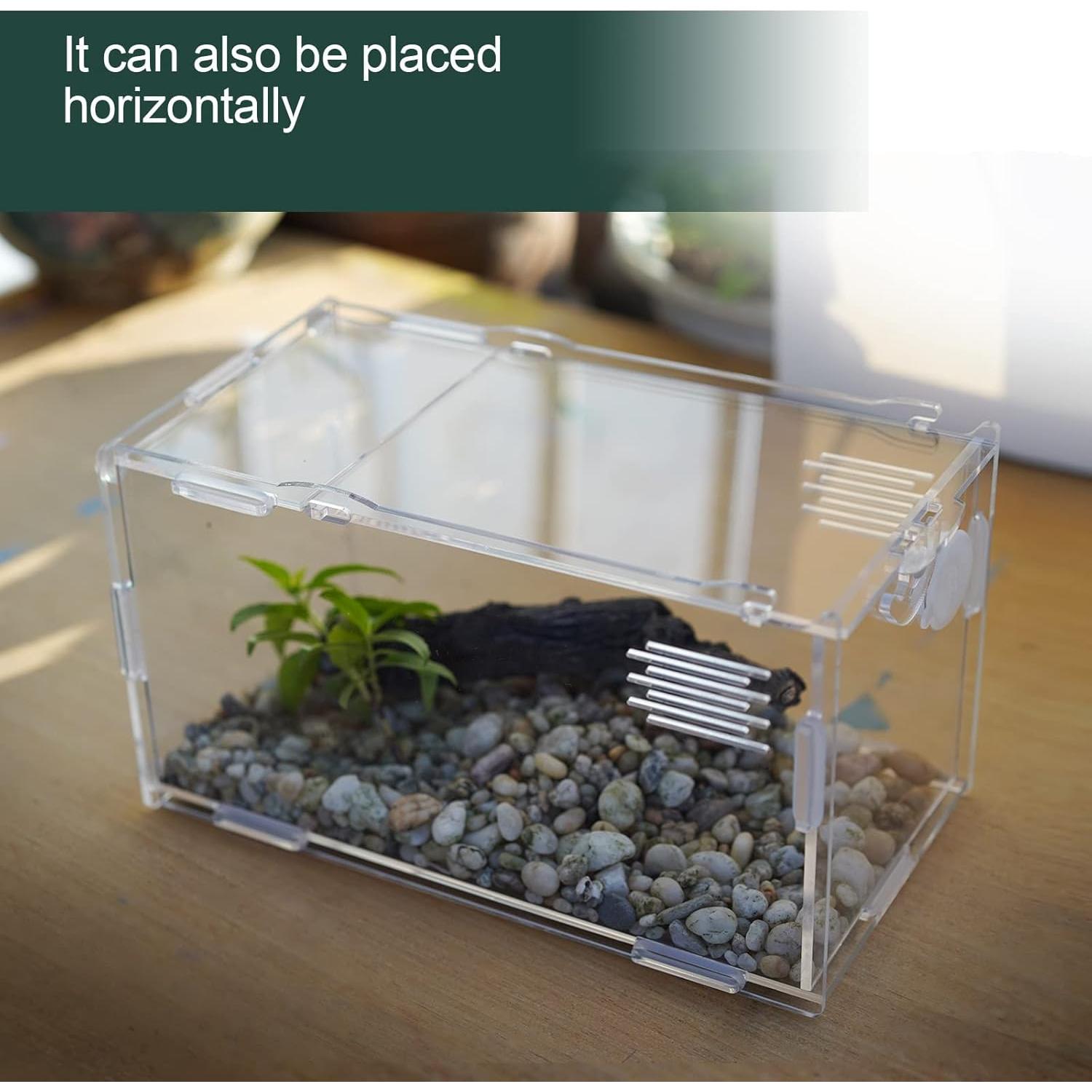 Tanque Mini Reptil Acrílico BETAZOOER 10.16x10.16x20.32cm