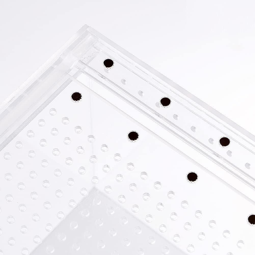 Recinto Acrílico Grande NANEEZOO 9.5L para Reptiles 30.5x20.3cm