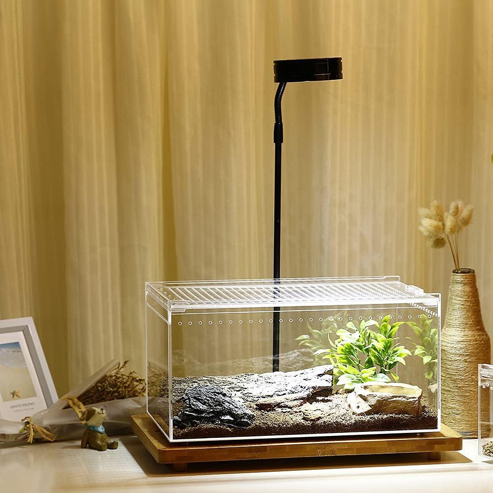 Recinto Acrílico Grande NANEEZOO 9.5L para Reptiles 30.5x20.3cm