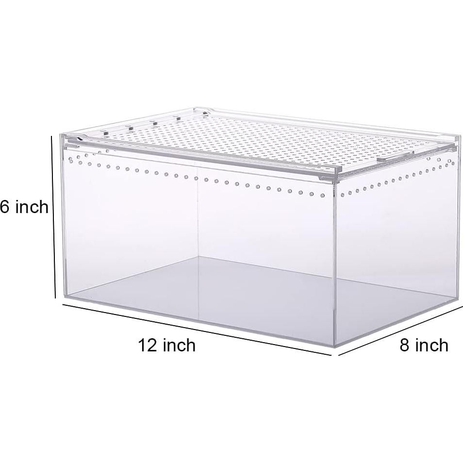 Recinto Acrílico Grande NANEEZOO 9.5L para Reptiles 30.5x20.3cm