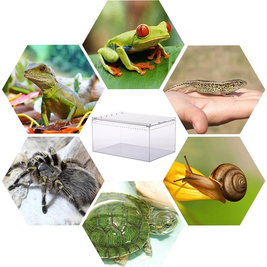 Recinto Acrílico Grande NANEEZOO 9.5L para Reptiles 30.5x20.3cm