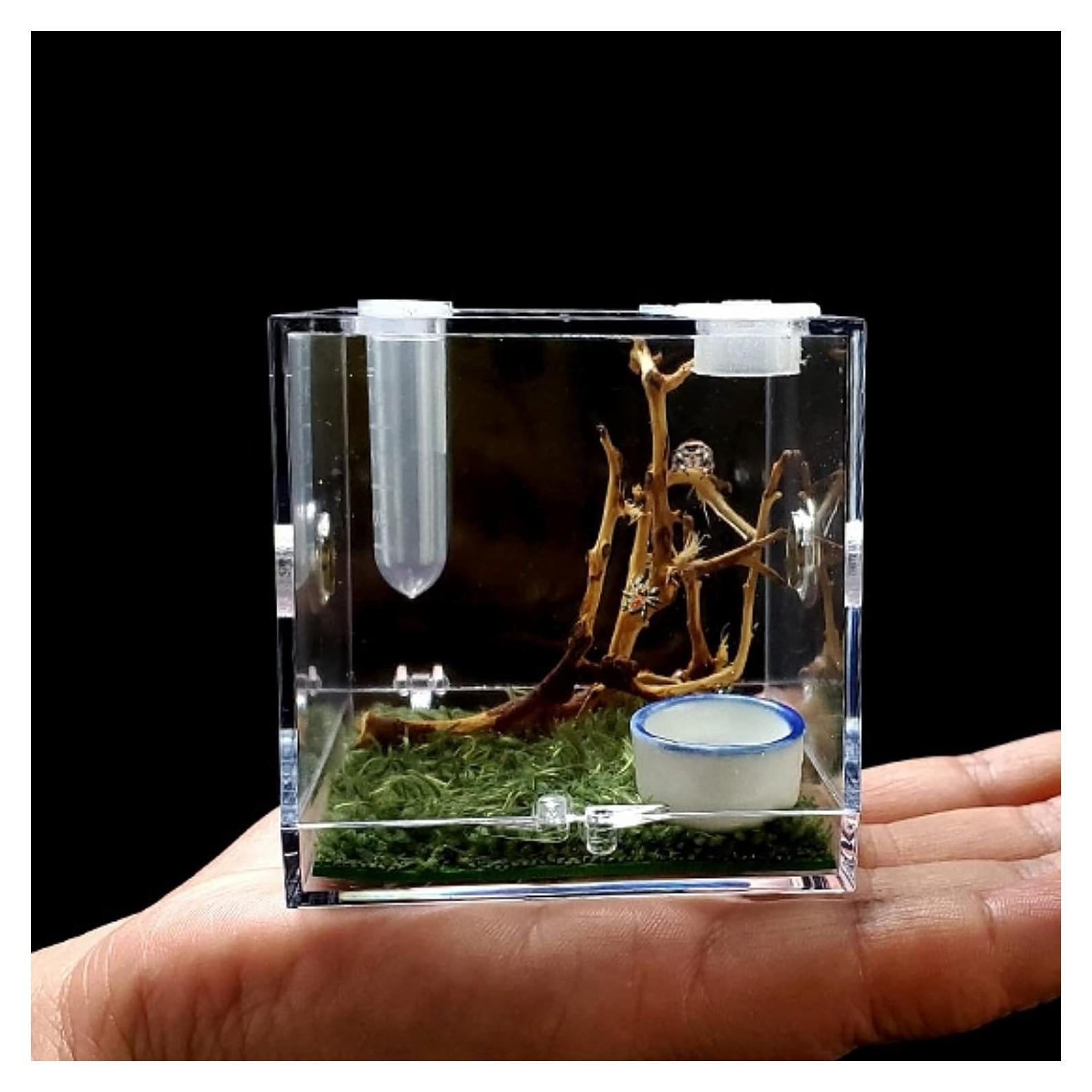 Terrario Acrílico para Arañas y Reptiles 6.86cm - 100g