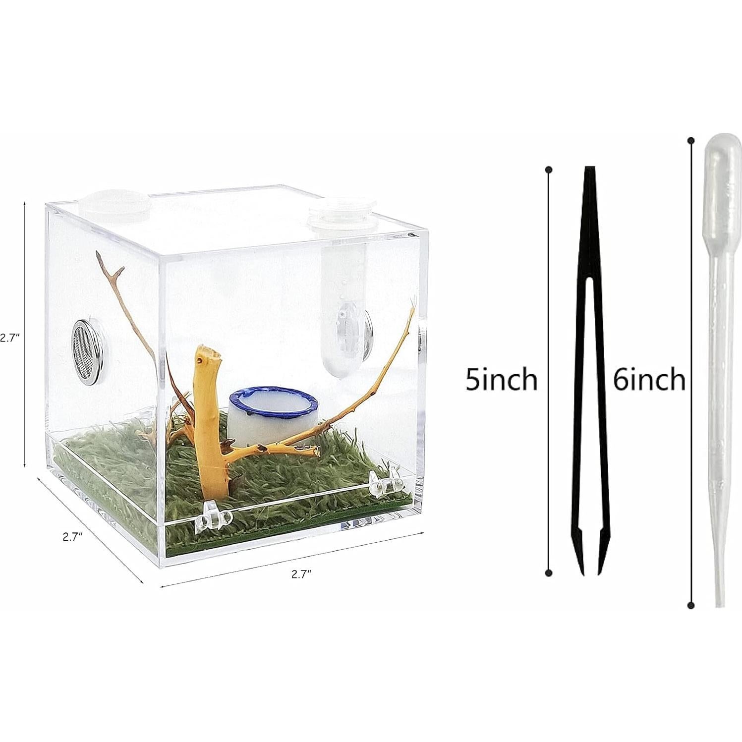 Terrario Acrílico para Arañas y Reptiles 6.86cm - 100g